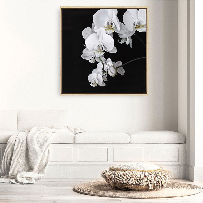 Shop Orchid (Square) Canvas Print a floral themed painted framed canvas wall art print from The Print Emporium artwork collection - Buy Australian made fine art painting style stretched canvas prints for the home and your interior decor space, TPE-060-CA-40X40-NF