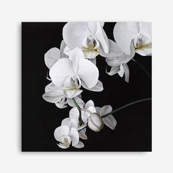 Shop Orchid (Square) Canvas Print a floral themed painted framed canvas wall art print from The Print Emporium artwork collection - Buy Australian made fine art painting style stretched canvas prints for the home and your interior decor space, TPE-060-CA-40X40-NF