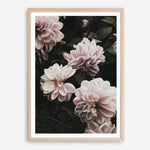 Shop Oriental Garden Art Print a floral themed painted wall art print from The Print Emporium wall artwork collection - Buy Australian made fine art painting style poster and framed prints for the home and your interior decor room, TPE-171-AP