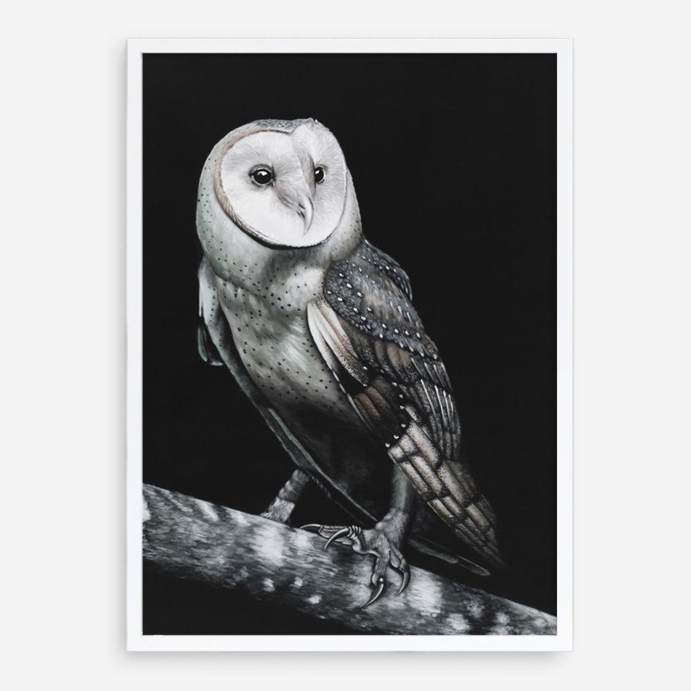 Shop Owl Art Print a painted bird themed wall art print from The Print Emporium wall artwork collection - Buy Australian made fine art painting style poster and framed prints for the home and your interior decor room, TPE-039-AP