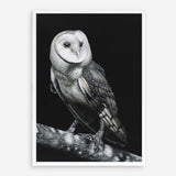 Shop Owl Art Print a painted bird themed wall art print from The Print Emporium wall artwork collection - Buy Australian made fine art painting style poster and framed prints for the home and your interior decor room, TPE-039-AP