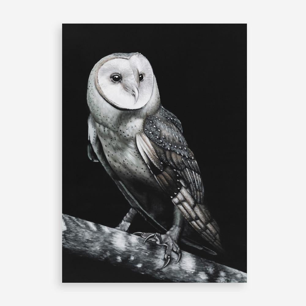 Shop Owl Art Print a painted bird themed wall art print from The Print Emporium wall artwork collection - Buy Australian made fine art painting style poster and framed prints for the home and your interior decor room, TPE-039-AP