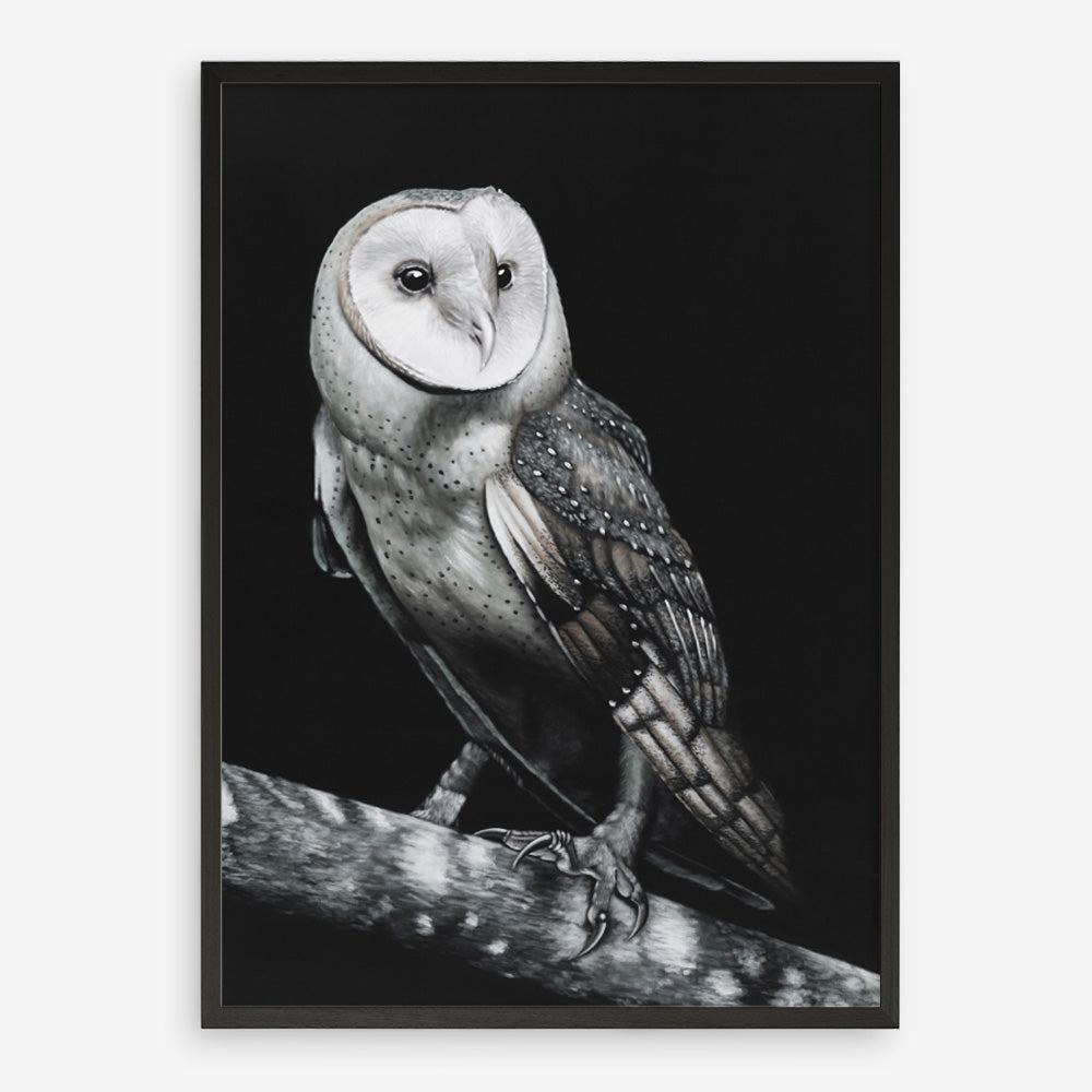Shop Owl Art Print a painted bird themed wall art print from The Print Emporium wall artwork collection - Buy Australian made fine art painting style poster and framed prints for the home and your interior decor room, TPE-039-AP