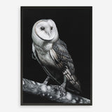 Shop Owl Art Print a painted bird themed wall art print from The Print Emporium wall artwork collection - Buy Australian made fine art painting style poster and framed prints for the home and your interior decor room, TPE-039-AP