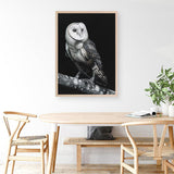 Shop Owl Art Print a painted bird themed wall art print from The Print Emporium wall artwork collection - Buy Australian made fine art painting style poster and framed prints for the home and your interior decor room, TPE-039-AP