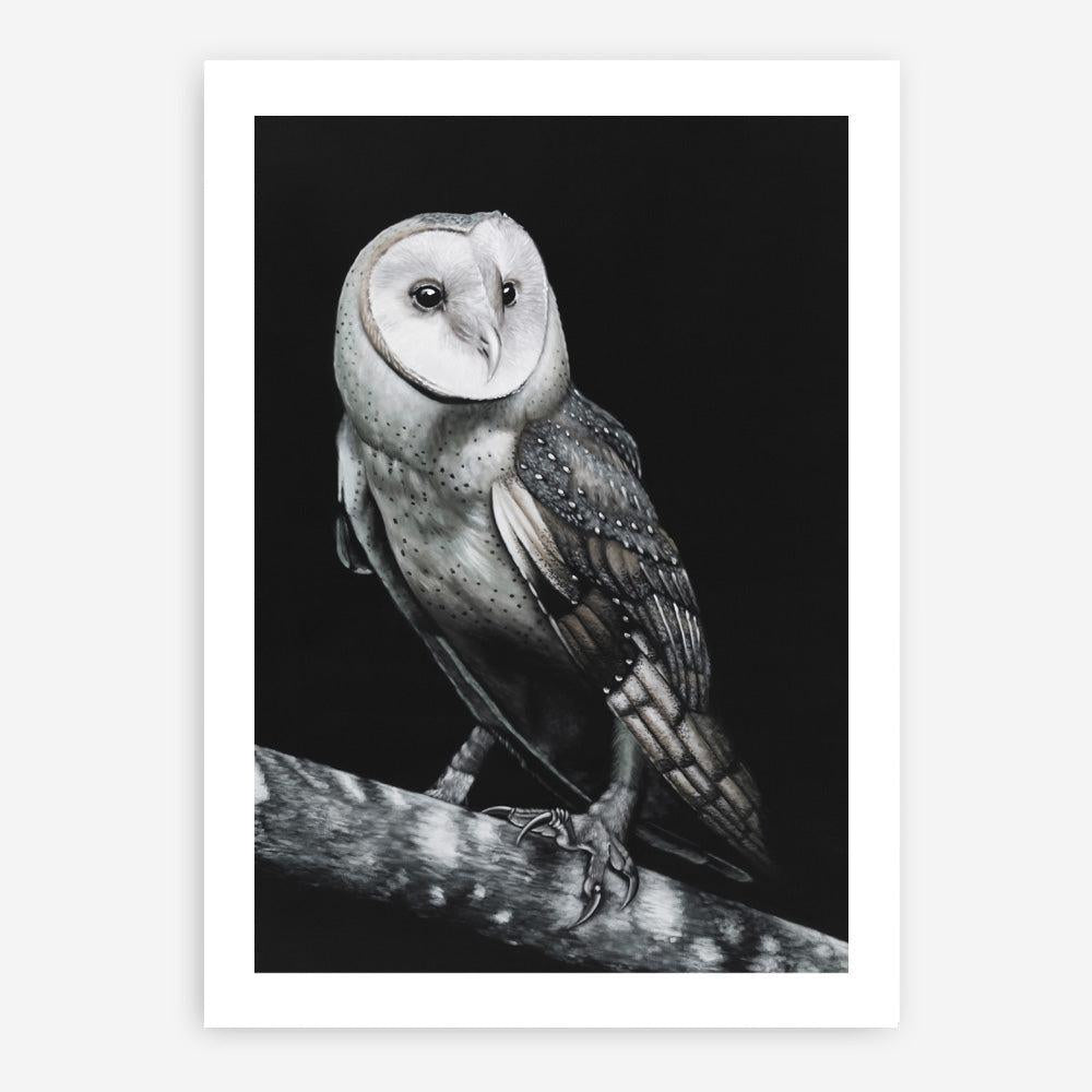 Shop Owl Art Print a painted bird themed wall art print from The Print Emporium wall artwork collection - Buy Australian made fine art painting style poster and framed prints for the home and your interior decor room, TPE-039-AP