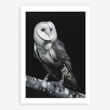 Shop Owl Art Print a painted bird themed wall art print from The Print Emporium wall artwork collection - Buy Australian made fine art painting style poster and framed prints for the home and your interior decor room, TPE-039-AP