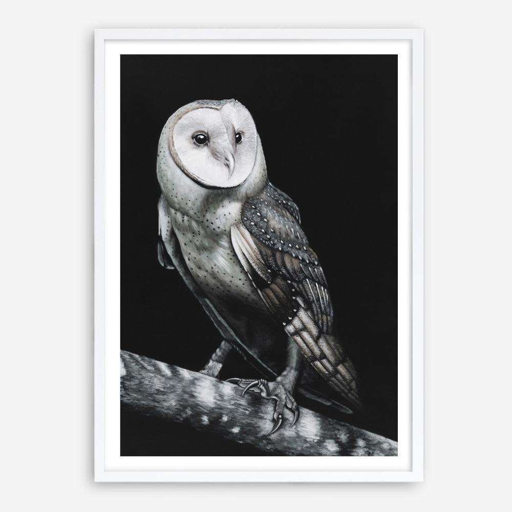 Shop Owl Art Print a painted bird themed wall art print from The Print Emporium wall artwork collection - Buy Australian made fine art painting style poster and framed prints for the home and your interior decor room, TPE-039-AP