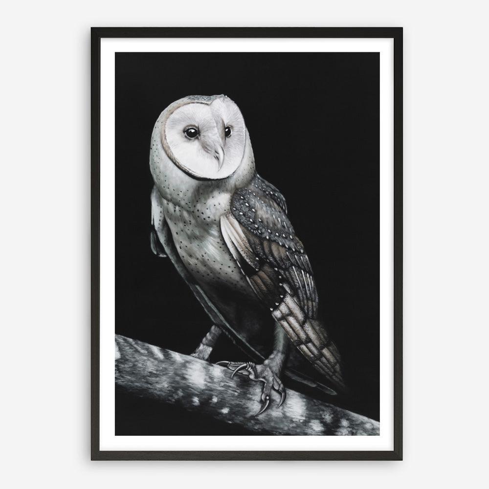 Shop Owl Art Print a painted bird themed wall art print from The Print Emporium wall artwork collection - Buy Australian made fine art painting style poster and framed prints for the home and your interior decor room, TPE-039-AP