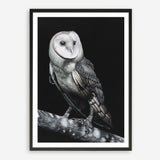 Shop Owl Art Print a painted bird themed wall art print from The Print Emporium wall artwork collection - Buy Australian made fine art painting style poster and framed prints for the home and your interior decor room, TPE-039-AP