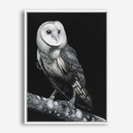 Shop Owl Canvas Print a painted bird themed framed canvas wall art print from The Print Emporium artwork collection - Buy Australian made fine art painting style stretched canvas prints for the home and your interior decor space, TPE-039-CA-35X46-NF