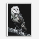 Shop Owl Canvas Print a painted bird themed framed canvas wall art print from The Print Emporium artwork collection - Buy Australian made fine art painting style stretched canvas prints for the home and your interior decor space, TPE-039-CA-35X46-NF