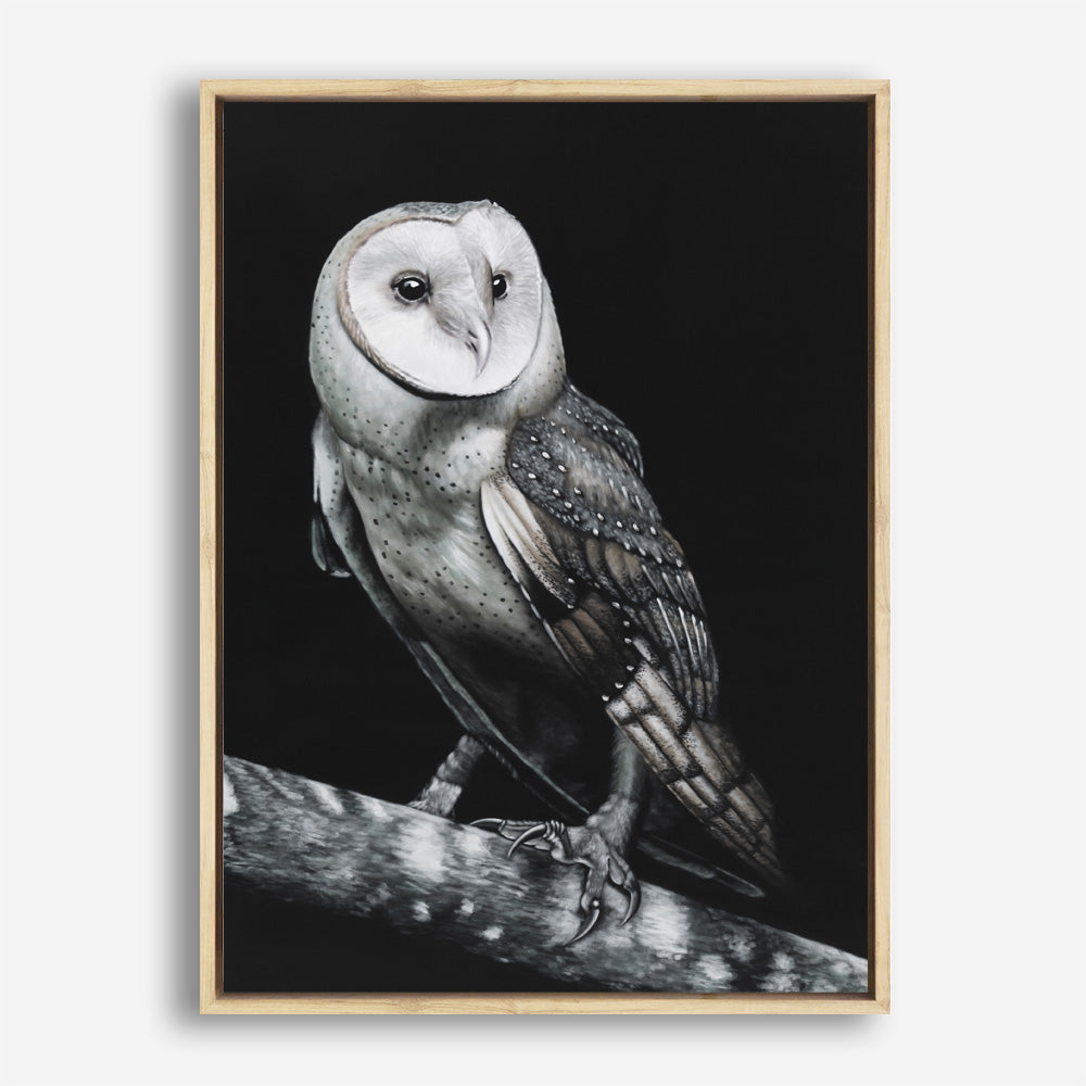 Shop Owl Canvas Print a painted bird themed framed canvas wall art print from The Print Emporium artwork collection - Buy Australian made fine art painting style stretched canvas prints for the home and your interior decor space, TPE-039-CA-35X46-NF