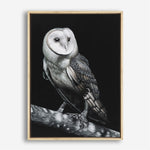 Shop Owl Canvas Print a painted bird themed framed canvas wall art print from The Print Emporium artwork collection - Buy Australian made fine art painting style stretched canvas prints for the home and your interior decor space, TPE-039-CA-35X46-NF