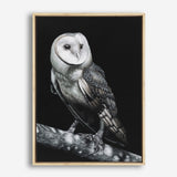 Shop Owl Canvas Print a painted bird themed framed canvas wall art print from The Print Emporium artwork collection - Buy Australian made fine art painting style stretched canvas prints for the home and your interior decor space, TPE-039-CA-35X46-NF