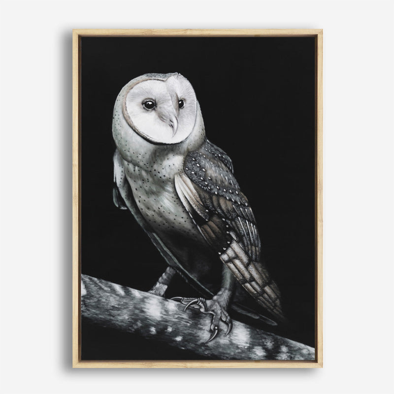Shop Owl Canvas Print a painted bird themed framed canvas wall art print from The Print Emporium artwork collection - Buy Australian made fine art painting style stretched canvas prints for the home and your interior decor space, TPE-039-CA-35X46-NF