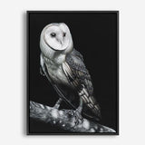 Shop Owl Canvas Print a painted bird themed framed canvas wall art print from The Print Emporium artwork collection - Buy Australian made fine art painting style stretched canvas prints for the home and your interior decor space, TPE-039-CA-35X46-NF