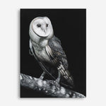 Shop Owl Canvas Print a painted bird themed framed canvas wall art print from The Print Emporium artwork collection - Buy Australian made fine art painting style stretched canvas prints for the home and your interior decor space, TPE-039-CA-35X46-NF