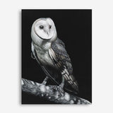 Shop Owl Canvas Print a painted bird themed framed canvas wall art print from The Print Emporium artwork collection - Buy Australian made fine art painting style stretched canvas prints for the home and your interior decor space, TPE-039-CA-35X46-NF