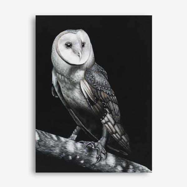Shop Owl Canvas Print a painted bird themed framed canvas wall art print from The Print Emporium artwork collection - Buy Australian made fine art painting style stretched canvas prints for the home and your interior decor space, TPE-039-CA-35X46-NF