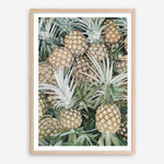 Shop Painted Pineapples Art Print a painted style wall art print from The Print Emporium wall artwork collection - Buy Australian made fine art painting style poster and framed prints for the home and your interior decor room, TPE-428-AP