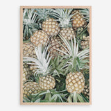 Shop Painted Pineapples Art Print a painted style wall art print from The Print Emporium wall artwork collection - Buy Australian made fine art painting style poster and framed prints for the home and your interior decor room, TPE-428-AP