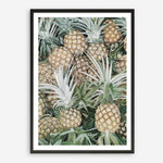 Shop Painted Pineapples Art Print a painted style wall art print from The Print Emporium wall artwork collection - Buy Australian made fine art painting style poster and framed prints for the home and your interior decor room, TPE-428-AP