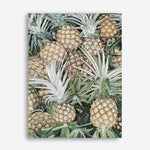 Shop Painted Pineapples Canvas Print a coastal themed painted framed canvas wall art print from The Print Emporium artwork collection - Buy Australian made fine art painting style stretched canvas prints for the home and your interior decor space, TPE-428-CA-35X46-NF