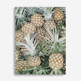 Shop Painted Pineapples Canvas Print a coastal themed painted framed canvas wall art print from The Print Emporium artwork collection - Buy Australian made fine art painting style stretched canvas prints for the home and your interior decor space, TPE-428-CA-35X46-NF