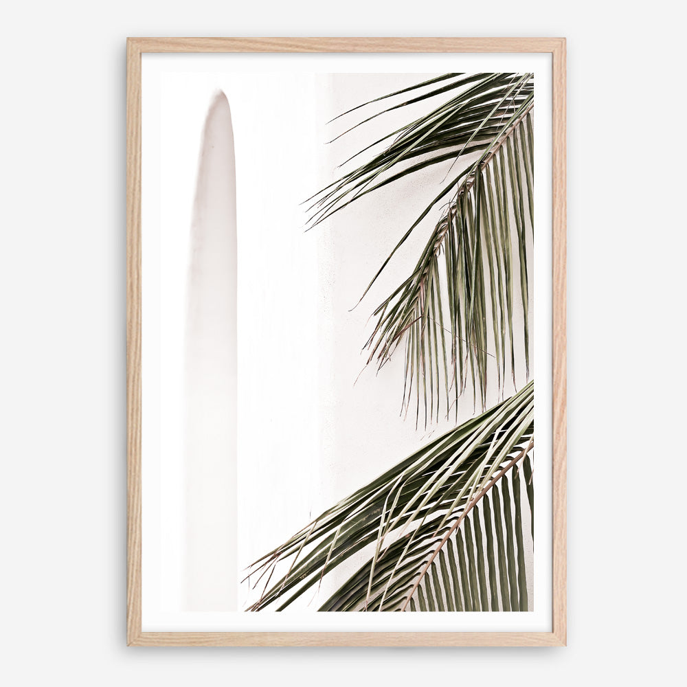 Shop Palm Building Photo Art Print a coastal themed photography wall art print from The Print Emporium wall artwork collection - Buy Australian made fine art poster and framed prints for the home and your interior decor, TPE-964-AP