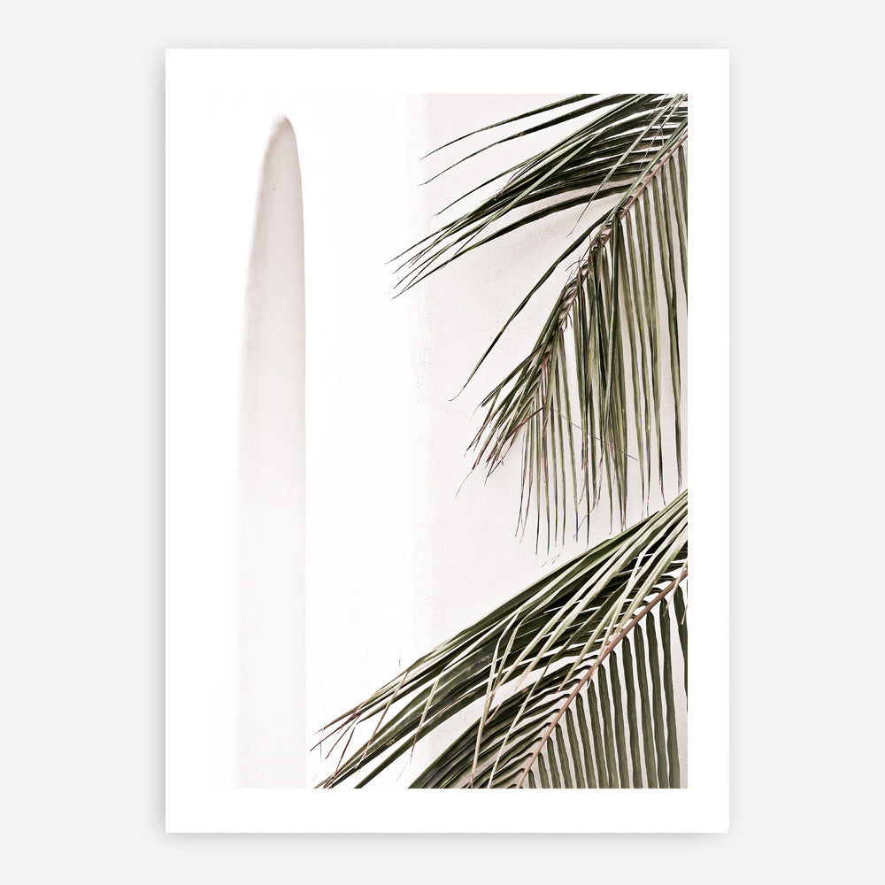 Shop Palm Building Photo Art Print a coastal themed photography wall art print from The Print Emporium wall artwork collection - Buy Australian made fine art poster and framed prints for the home and your interior decor, TPE-964-AP