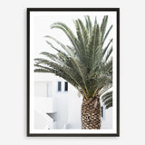 Shop Palm Courtyard Photo Art Print a coastal themed photography wall art print from The Print Emporium wall artwork collection - Buy Australian made fine art poster and framed prints for the home and your interior decor, TPE-1288-AP