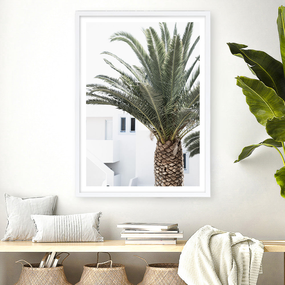 Shop Palm Courtyard Photo Art Print a coastal themed photography wall art print from The Print Emporium wall artwork collection - Buy Australian made fine art poster and framed prints for the home and your interior decor, TPE-1288-AP