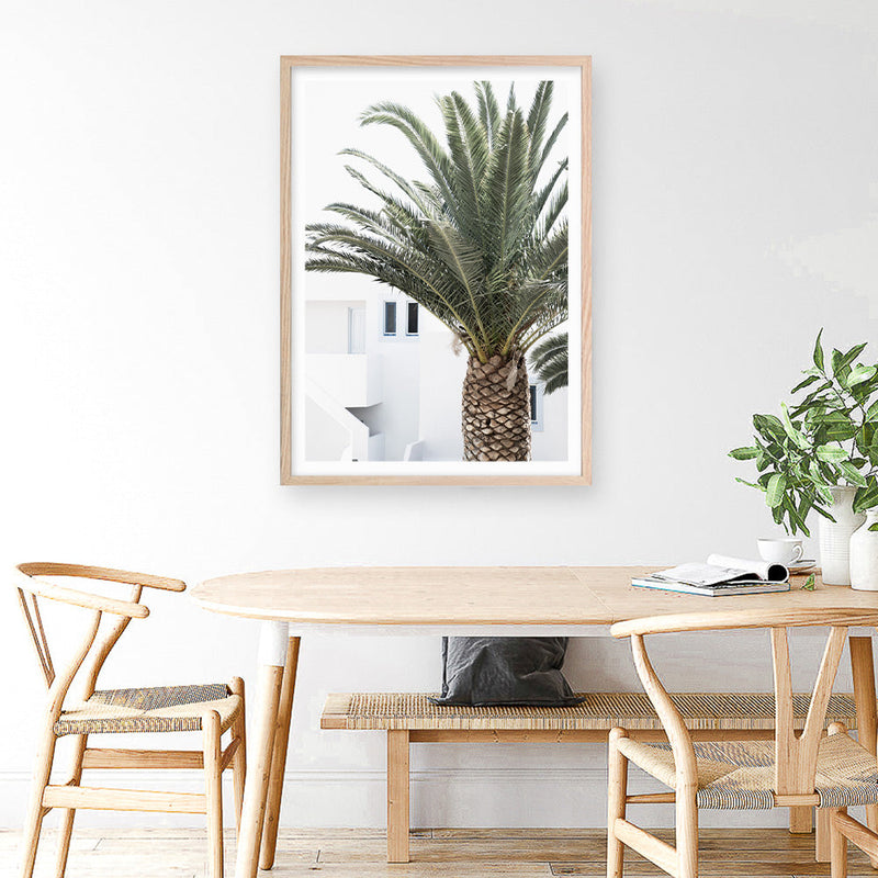 Shop Palm Courtyard Photo Art Print a coastal themed photography wall art print from The Print Emporium wall artwork collection - Buy Australian made fine art poster and framed prints for the home and your interior decor, TPE-1288-AP