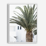 Shop Palm Courtyard Photo Canvas Print a coastal themed photography framed stretched canvas print from The Print Emporium wall artwork collection - Buy Australian made prints for the home and your interior decor space, TPE-1288-CA-35X46-NF