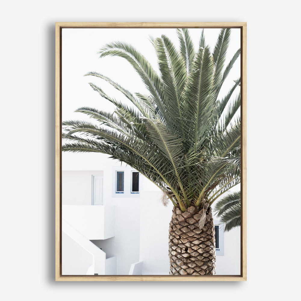 Shop Palm Courtyard Photo Canvas Print a coastal themed photography framed stretched canvas print from The Print Emporium wall artwork collection - Buy Australian made prints for the home and your interior decor space, TPE-1288-CA-35X46-NF