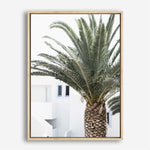 Shop Palm Courtyard Photo Canvas Print a coastal themed photography framed stretched canvas print from The Print Emporium wall artwork collection - Buy Australian made prints for the home and your interior decor space, TPE-1288-CA-35X46-NF