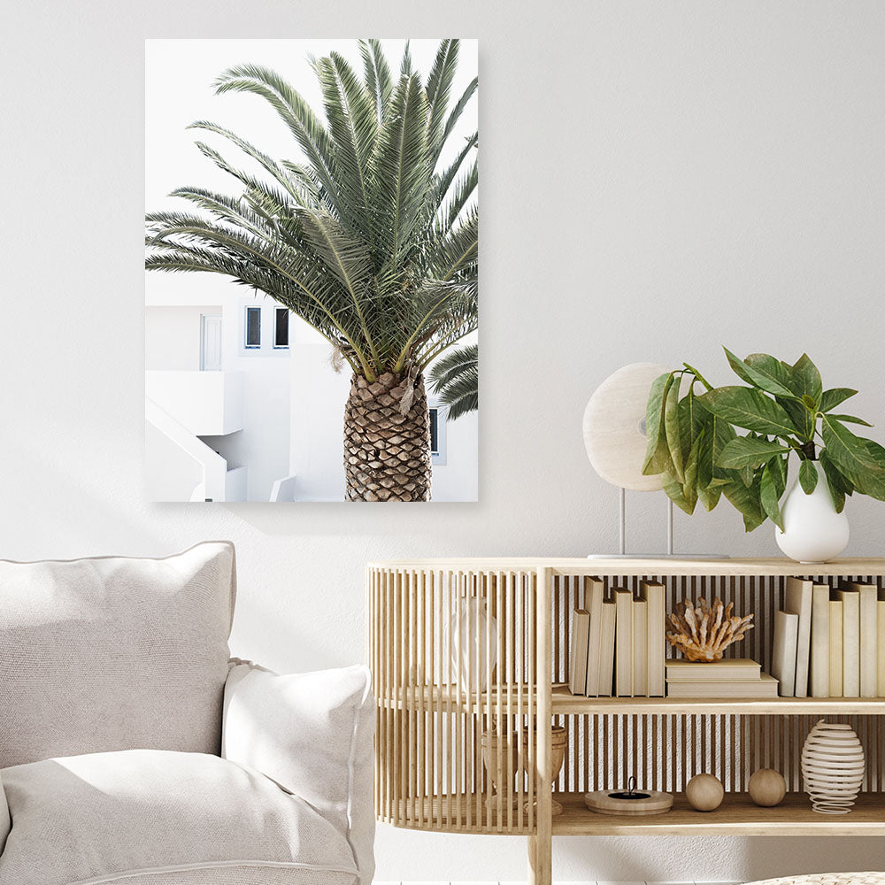 Shop Palm Courtyard Photo Canvas Print a coastal themed photography framed stretched canvas print from The Print Emporium wall artwork collection - Buy Australian made prints for the home and your interior decor space, TPE-1288-CA-35X46-NF