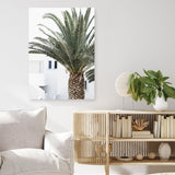 Shop Palm Courtyard Photo Canvas Print a coastal themed photography framed stretched canvas print from The Print Emporium wall artwork collection - Buy Australian made prints for the home and your interior decor space, TPE-1288-CA-35X46-NF