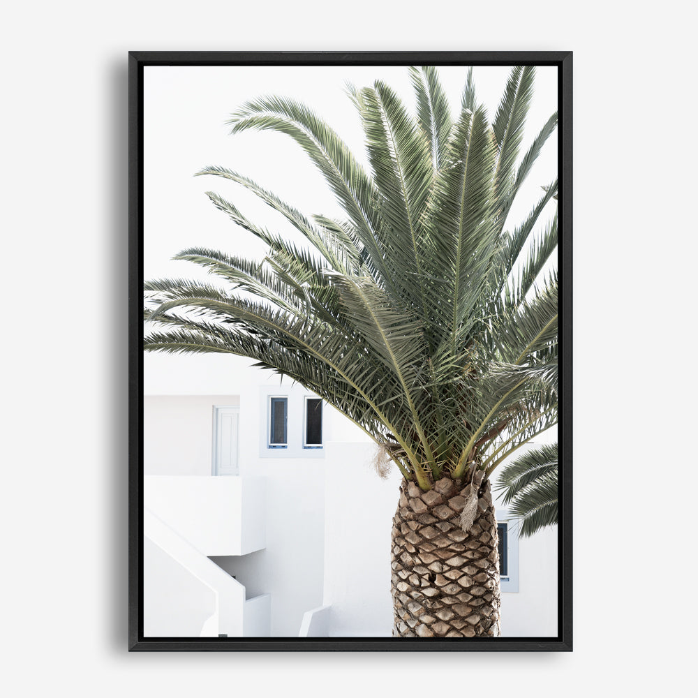 Shop Palm Courtyard Photo Canvas Print a coastal themed photography framed stretched canvas print from The Print Emporium wall artwork collection - Buy Australian made prints for the home and your interior decor space, TPE-1288-CA-35X46-NF