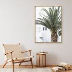 Shop Palm Courtyard Photo Canvas Print a coastal themed photography framed stretched canvas print from The Print Emporium wall artwork collection - Buy Australian made prints for the home and your interior decor space, TPE-1288-CA-35X46-NF