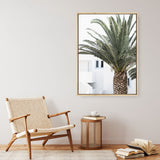 Shop Palm Courtyard Photo Canvas Print a coastal themed photography framed stretched canvas print from The Print Emporium wall artwork collection - Buy Australian made prints for the home and your interior decor space, TPE-1288-CA-35X46-NF