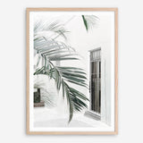 Shop Palm Doorway II Art Print a coastal themed painted wall art print from The Print Emporium wall artwork collection - Buy Australian made fine art painting style poster and framed prints for the home and your interior decor room, TPE-662-AP