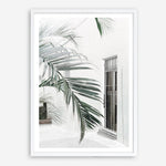 Shop Palm Doorway II Art Print a coastal themed painted wall art print from The Print Emporium wall artwork collection - Buy Australian made fine art painting style poster and framed prints for the home and your interior decor room, TPE-662-AP
