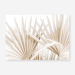 Shop Palm Fronds I Photo Art Print a coastal themed photography wall art print from The Print Emporium wall artwork collection - Buy Australian made fine art poster and framed prints for the home and your interior decor, TPE-1286-AP