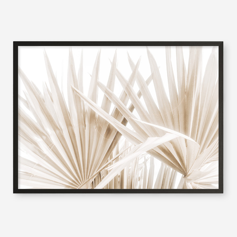 Shop Palm Fronds I Photo Art Print a coastal themed photography wall art print from The Print Emporium wall artwork collection - Buy Australian made fine art poster and framed prints for the home and your interior decor, TPE-1286-AP