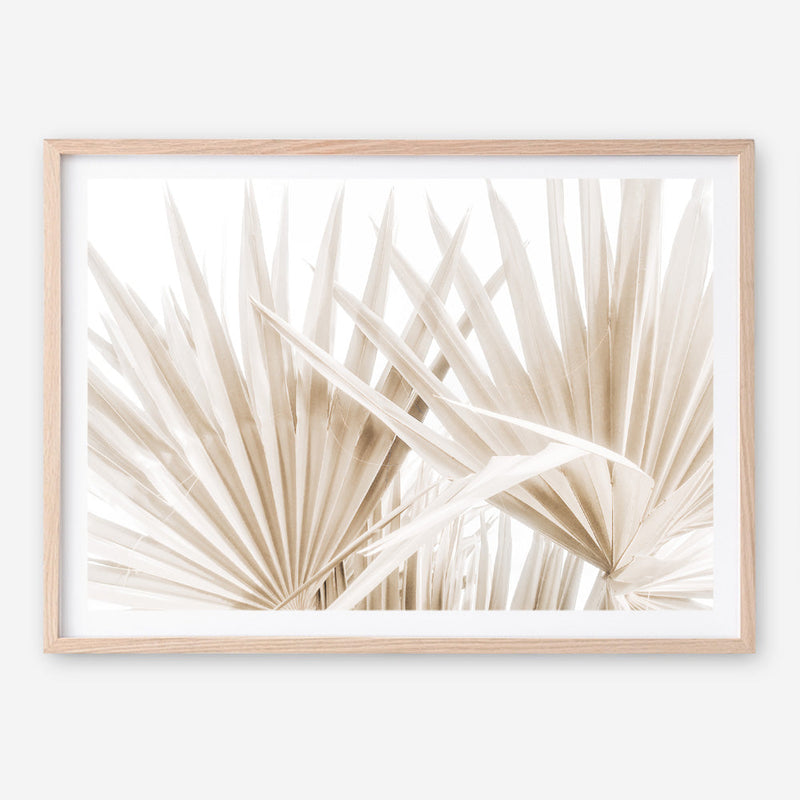Shop Palm Fronds I Photo Art Print a coastal themed photography wall art print from The Print Emporium wall artwork collection - Buy Australian made fine art poster and framed prints for the home and your interior decor, TPE-1286-AP