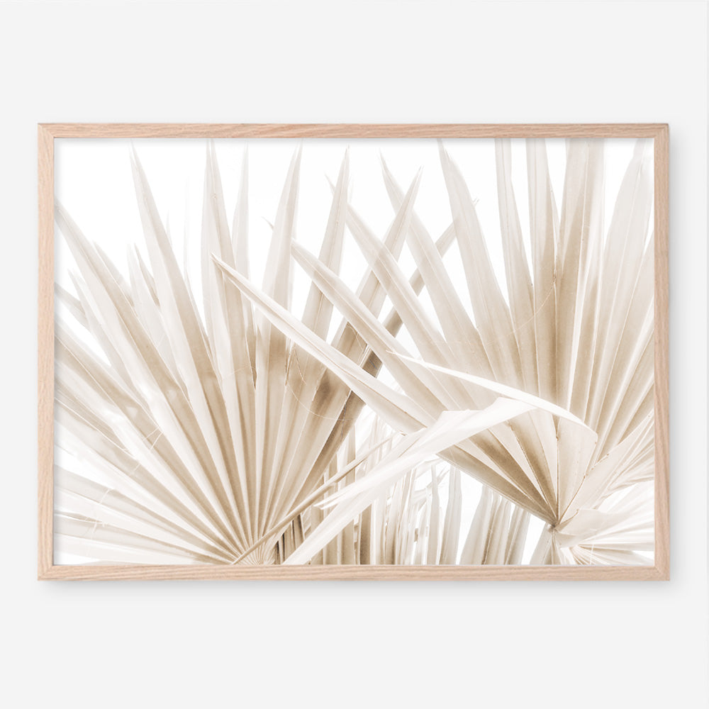 Shop Palm Fronds I Photo Art Print a coastal themed photography wall art print from The Print Emporium wall artwork collection - Buy Australian made fine art poster and framed prints for the home and your interior decor, TPE-1286-AP