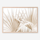 Shop Palm Fronds I Photo Art Print a coastal themed photography wall art print from The Print Emporium wall artwork collection - Buy Australian made fine art poster and framed prints for the home and your interior decor, TPE-1286-AP