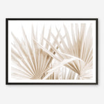 Shop Palm Fronds I Photo Art Print a coastal themed photography wall art print from The Print Emporium wall artwork collection - Buy Australian made fine art poster and framed prints for the home and your interior decor, TPE-1286-AP